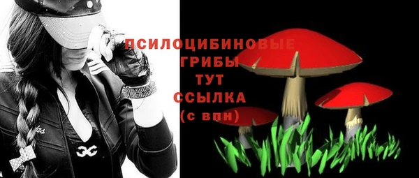 прущая мука Кинешма