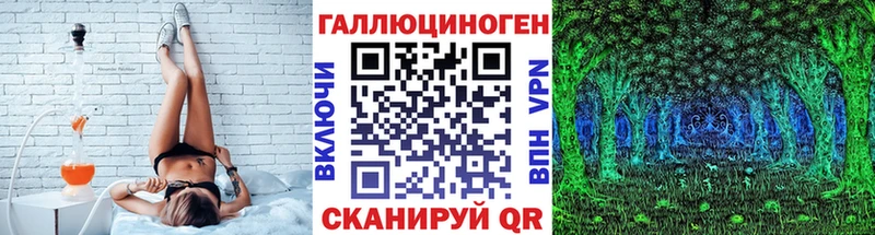 OMG маркетплейс  Миньяр  Псилоцибиновые грибы мицелий 